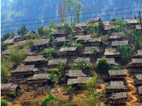 Bamboo houses with roofs made from leaves are the shelters in Mae La