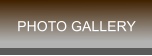 PHOTO GALLERY